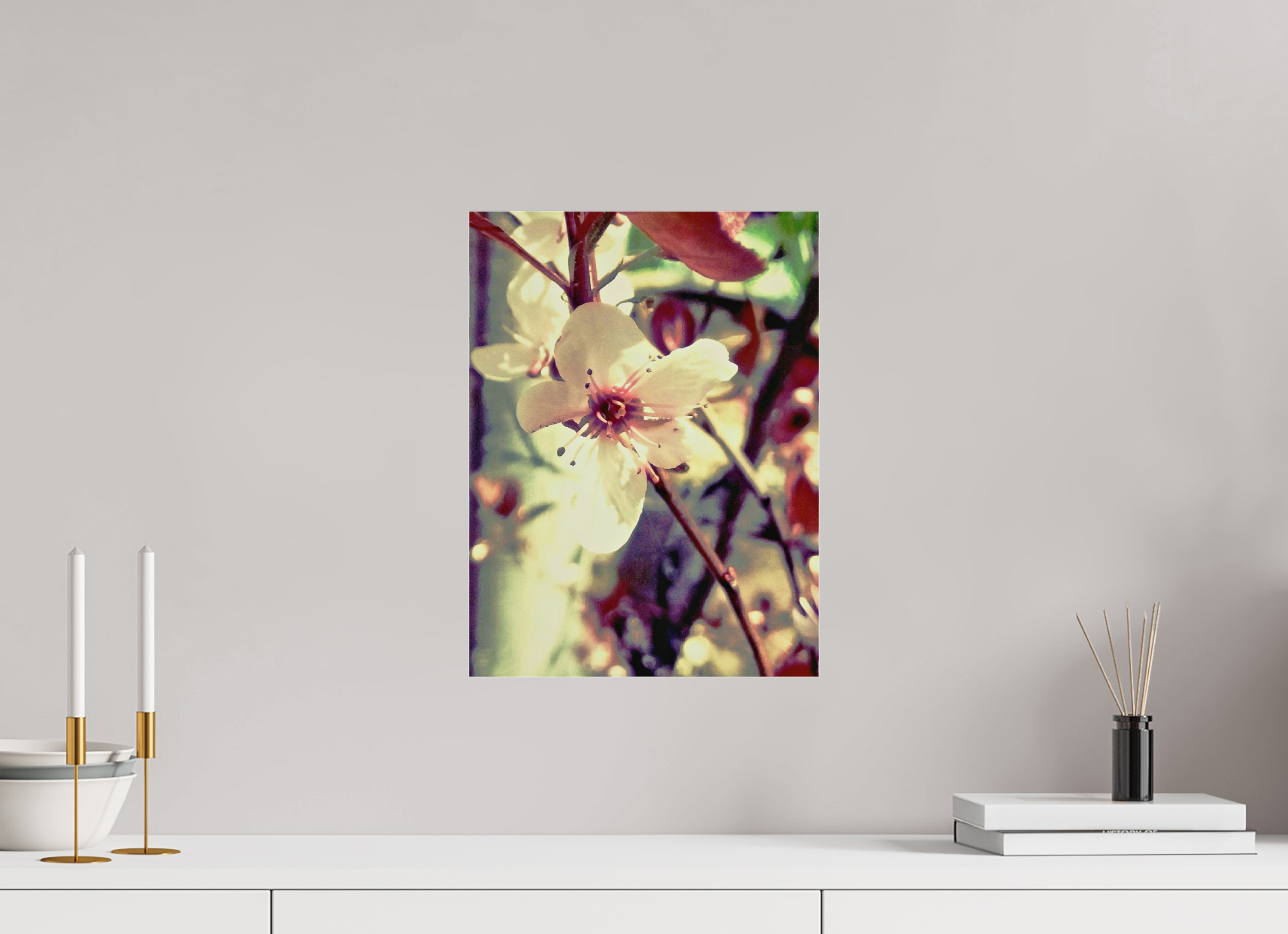 12 x 16″, Standard Cherry Blossom on Acrylic Glass