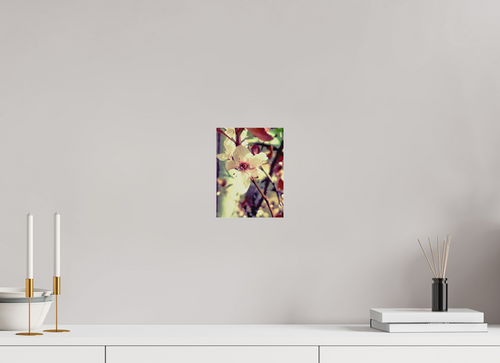 6 x 8″, Standard Cherry Blossom on Acrylic Glass